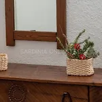 Villa Baia Di Myrtama *